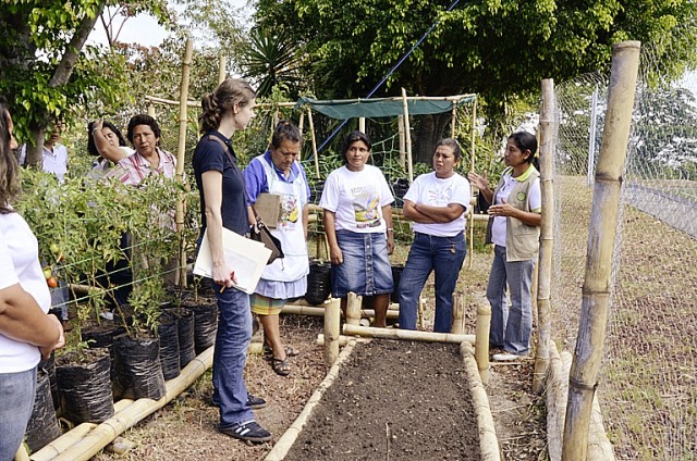 el_salvador_bsin.jpg