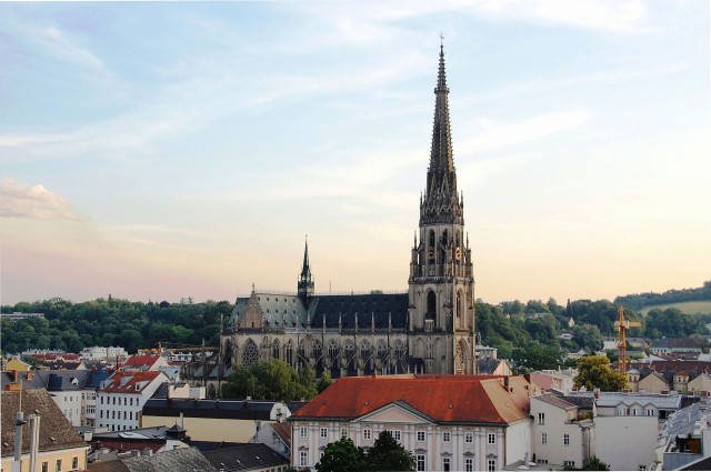 linzer_dom_wikipedia_deinfreundderbaum.jpg