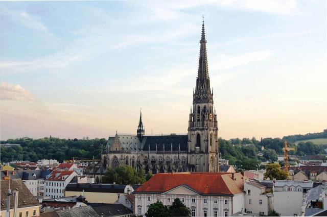 linzer_dom_wikipedia_deinfreundderbaum.jpg