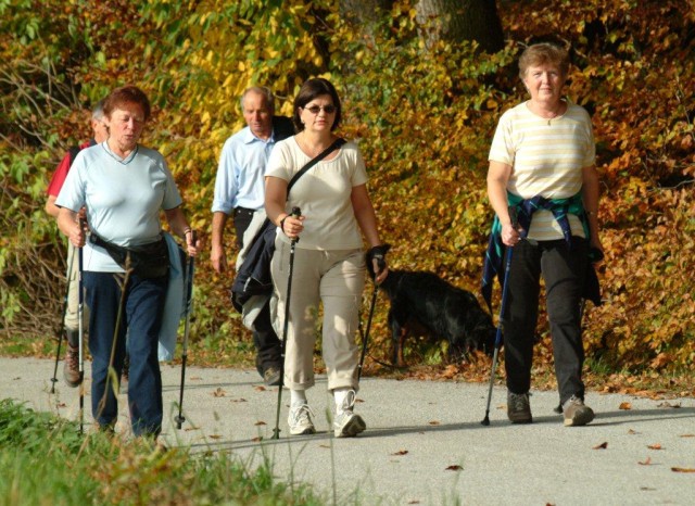 wanderung_net.jpg