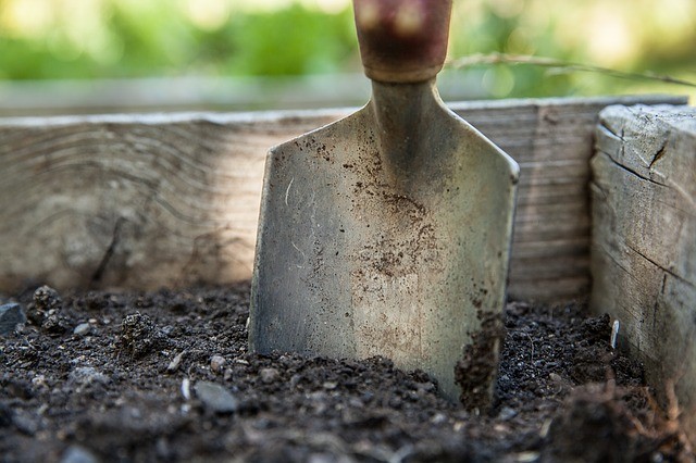 garden_1176406_640.jpg