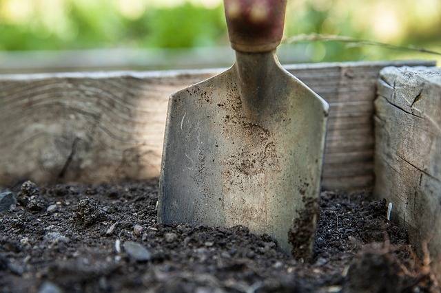garden_1176406_640.jpg