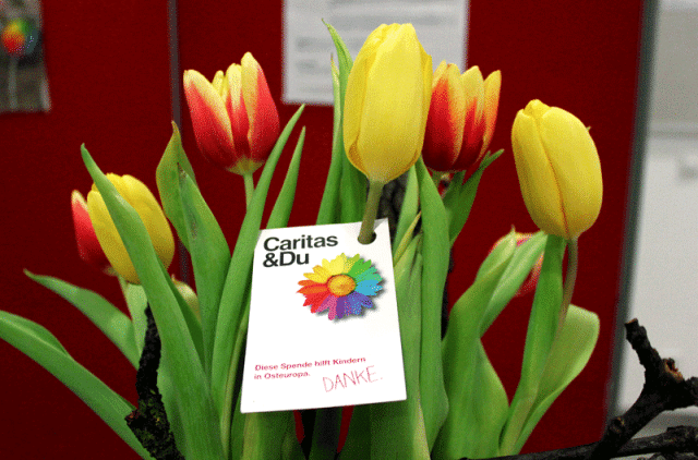 hilfe_durch_blumen.gif