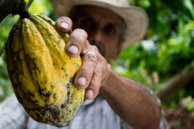 cocoa_452911_1280.jpg