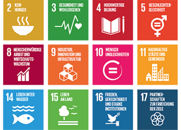 Übersicht der 17 SDGs