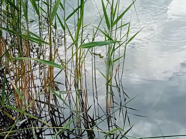 Mut zur Lücke - Zeit zum Innehalten