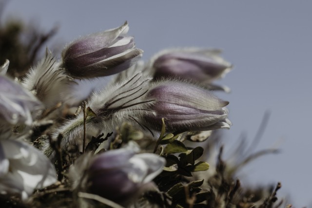 Stille und Innerlichkeit als Lebensressourcen