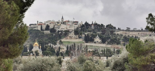 Aus den Tiefen rufe ich zu dir! (Ps 130,1) – Psalmen als Anker für die Seele