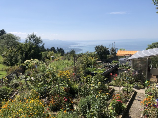 Dank und Lobpreis gestalten 