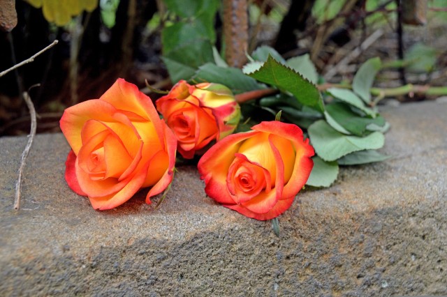 Friedhofsgeschichten rund um den Tod und das Leben