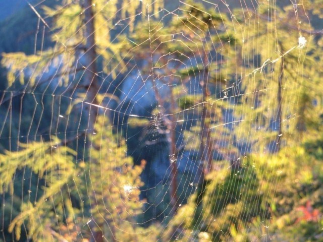 Kräuterworkshop: Herbstbeginn und Erntedank