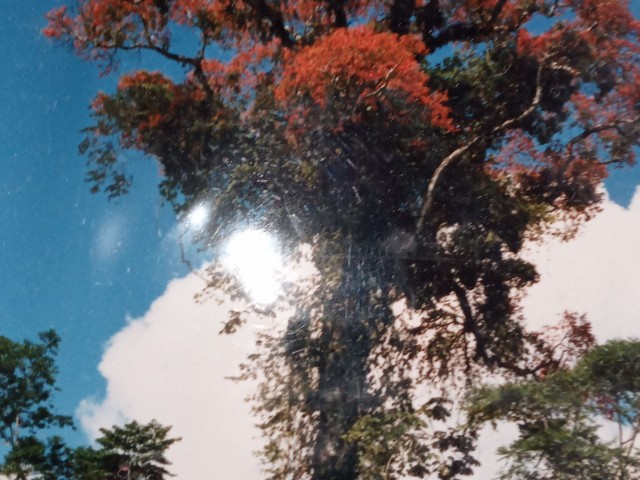 Von Bannberg in den Urwald