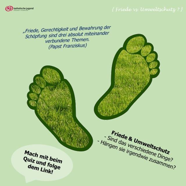 Tag 4: Friede vs. Umweltschutz?