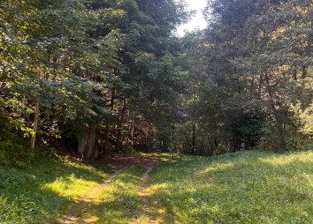 2026 10 03 Pilgerwanderung Laudato Si Oberguggenberger (8)