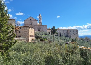 5158395f 7b1d 4b5a 87c6 330d36f0755e