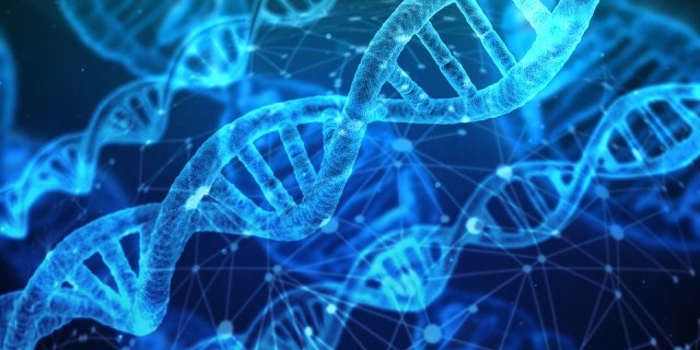 Coronavirus: Bischöfe streben österreichweite Vorgangsweise an