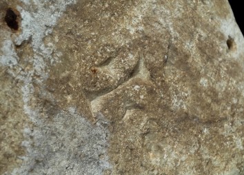 2024 06 25 Antike Pyxis Cincelli 03