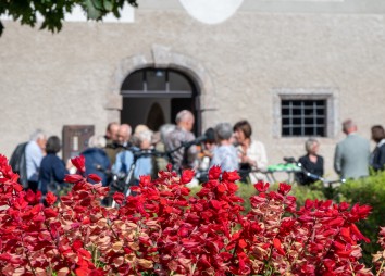 800 Jahre Franziskus Festmesse Dom St Jakob 2026 10 04 C Dibk Sigl 8428