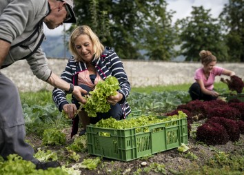 EMMAUS Ibk By Stefan Voitl  152