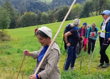 T02 Lärchenwald Rundwanderweg III Ingrid Heinz