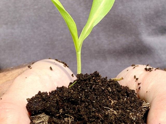 Trennung bewältigen