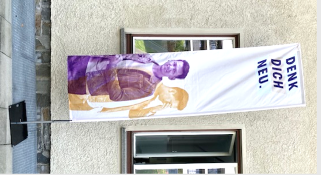 DDN Flag