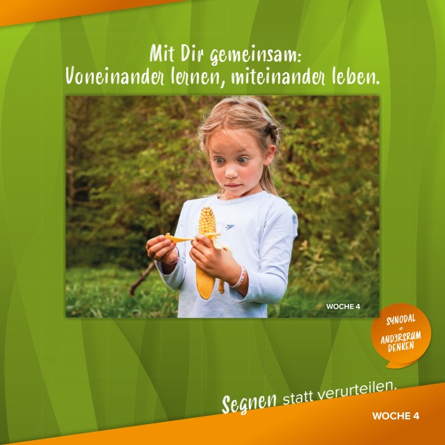 QR-Codes der Woche 3 und 4: Videos