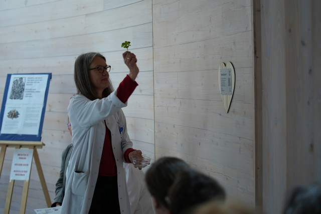 Neues Seelenplatzerl im Landeskrankenhaus Hall