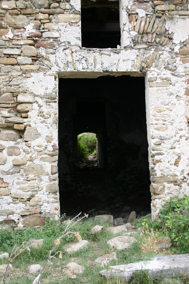 Trauerbegleitung