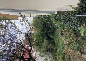 IMG 3539