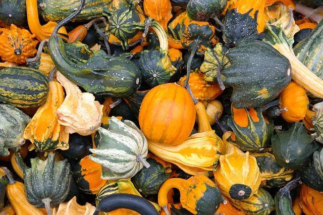 Stadtspaziergang zum Wandel - Unser Essen in unseren Händen - Samstag, 09. November 2019