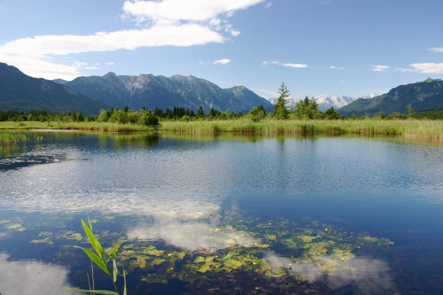 Magie der Moore (BA0200264)