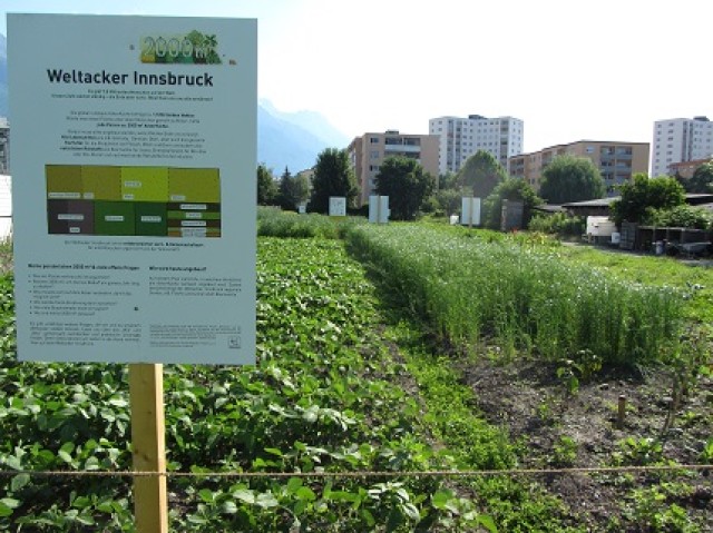Erzählcafe, offene Führung & Sonntagsgärtnern am Weltacker Innsbruck