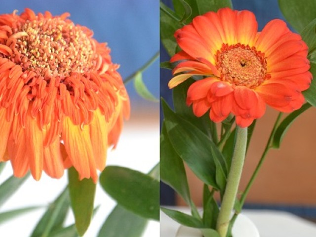 Raus aus der Erschöpfung