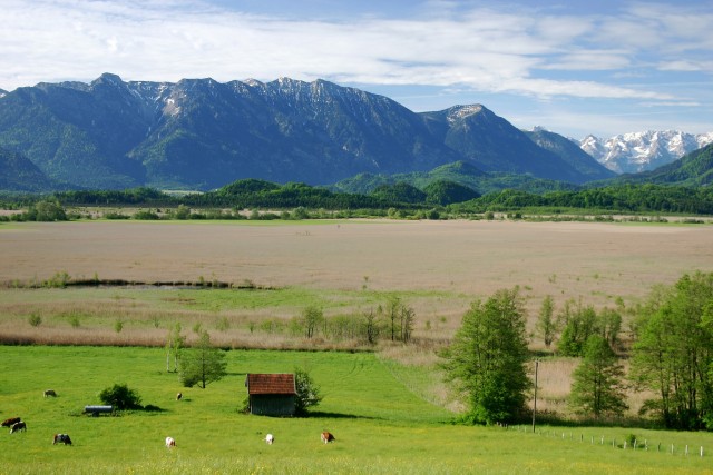 Speicherkönig Moor (BA0200264)