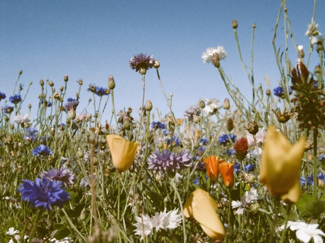 Chor-Projekt 2026 im Dekanat Prutz und Zams