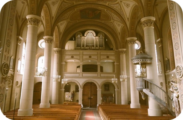 Orgellandschaft entdecken