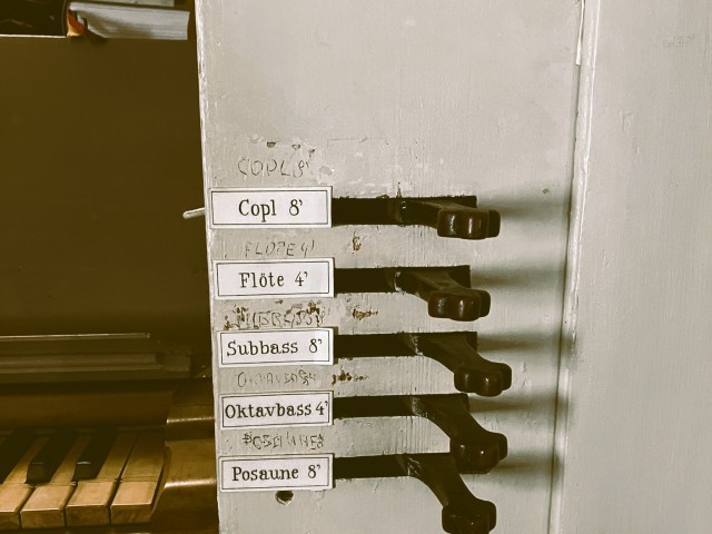 Orgellandschaft entdecken