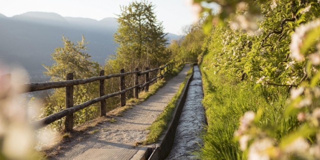 Tanz- und Aktivurlaub für Menschen ab der Lebensmitte 2026