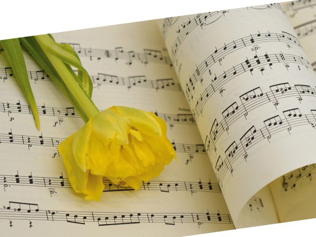 Frauen-Chorwerkstatt 2026 in Innsbruck: Hoffnung singen