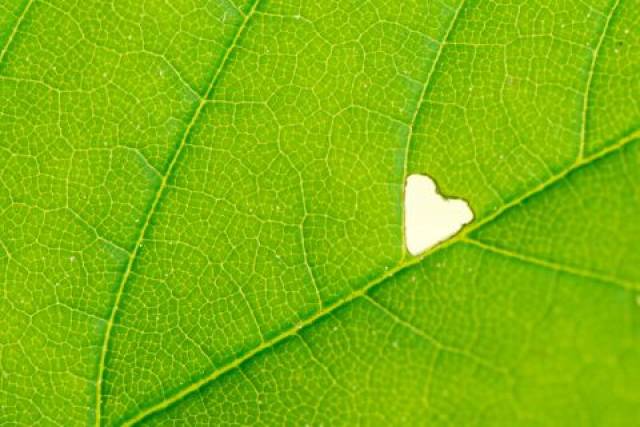 Impuls März - "Liebt einander, so wie ich euch geliebt habe!"