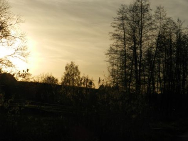 Impuls September - Getragen durch das Jahr