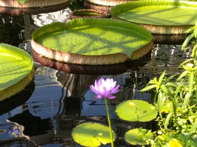 PartnerInnen des PB SEELSORGE.leben