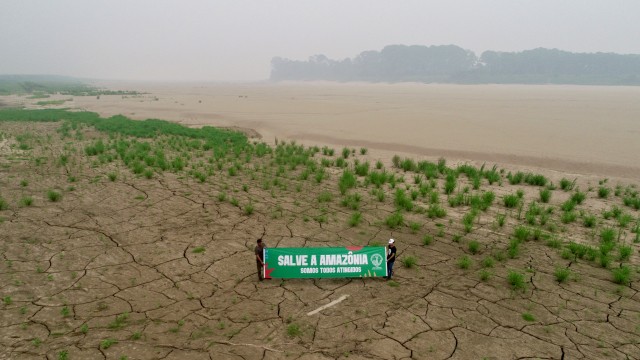 Alerta Amazônia! When fabrics speak.