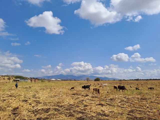 Begegnung mit Gästen aus Tansania. Geschützte Natur - kein Platz für Menschen?