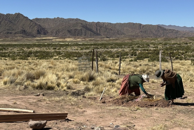 Stimmen des Widerstands