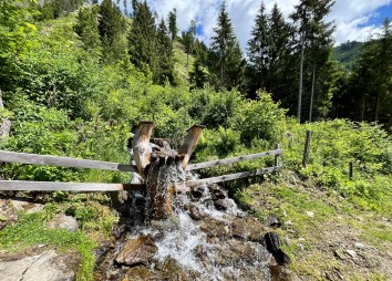 Bilder Und Einblicke Vom Jakobsweg  (5)