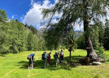 Bilder Und Einblicke Vom Jakobsweg  (6)