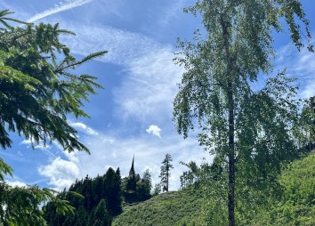 Bilder Und Einblicke Vom Jakobsweg  (7)