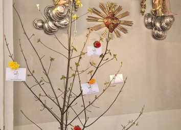 Baum Finkenberg